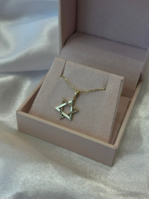 Diamond Jewish Star Of David Half Necklace 14k Gold. Jewish Star Pendant.