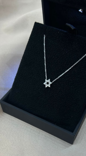 Dainty Jewish Star Pendant, Diamond Jewish Star Of David Necklace 14k Gold. Small Star of David. - Image 7