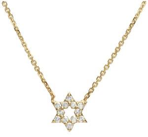 Dainty Jewish Star Pendant, Diamond Jewish Star Of David Necklace 14k Gold. Small Star of David.