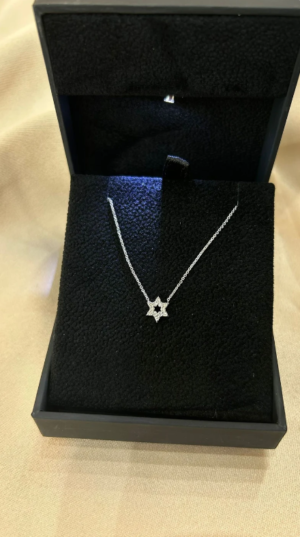 Dainty Jewish Star Pendant, Diamond Jewish Star Of David Necklace 14k Gold. Small Star of David. - Image 2