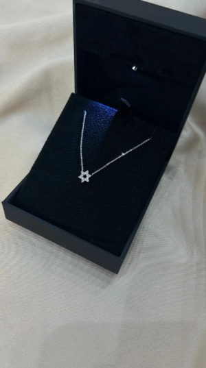 Dainty Jewish Star Pendant, Diamond Jewish Star Of David Necklace 14k Gold. Small Star of David. - Image 5